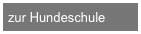 zur Hundeschule